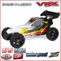 1/5 gas Powered RTR Buggy para la venta, 2WD gasolina Buggy en diseño único